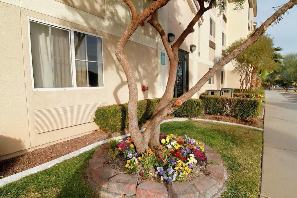 Siegel Select Flamingo Hotel Las Vegas Ngoại thất bức ảnh